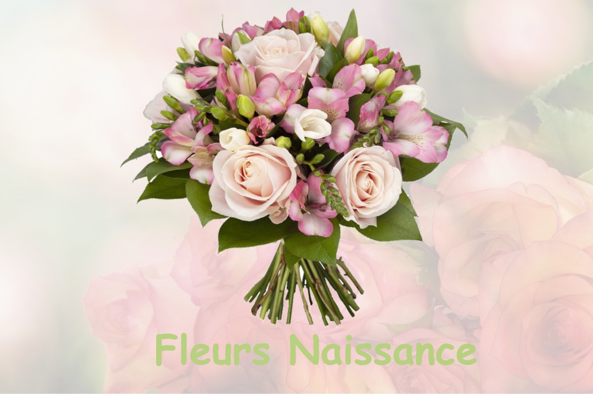 fleurs naissance MOIRANS