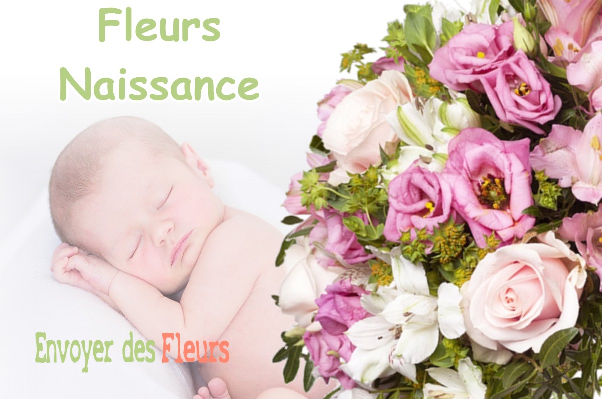 lIVRAISON FLEURS NAISSANCE à MOIRANS